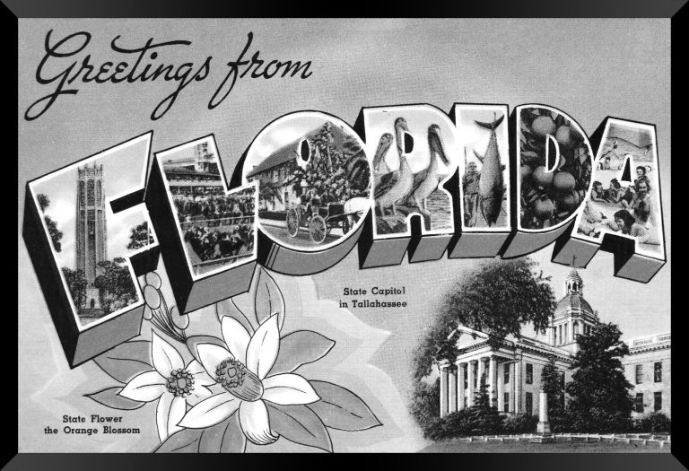 Florida — Super 8 headboard artwork, Florida