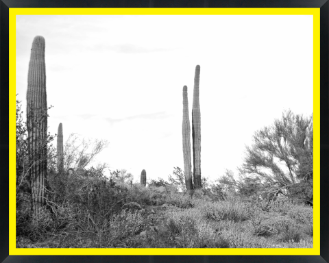 D30163 — Super 8 headboard artwork, Arizona