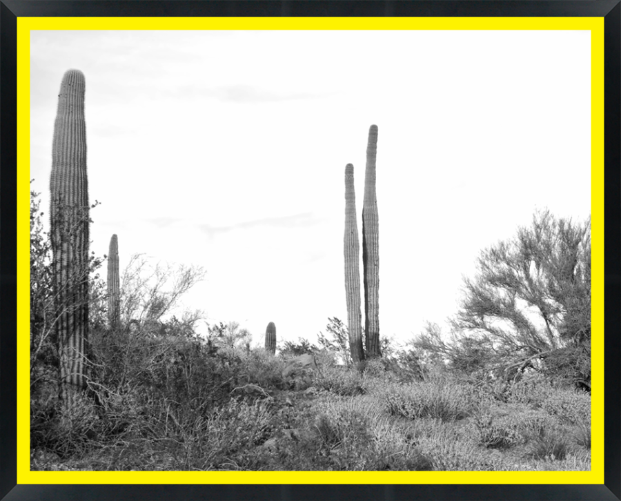 D30163 — Super 8 headboard artwork, Arizona