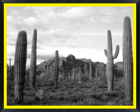 D30151 — Super 8 headboard artwork, Arizona