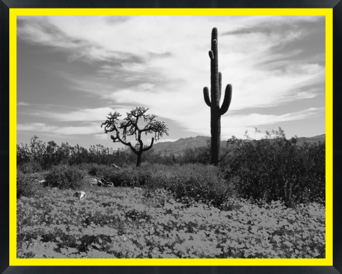 D30150 — Super 8 headboard artwork, Arizona