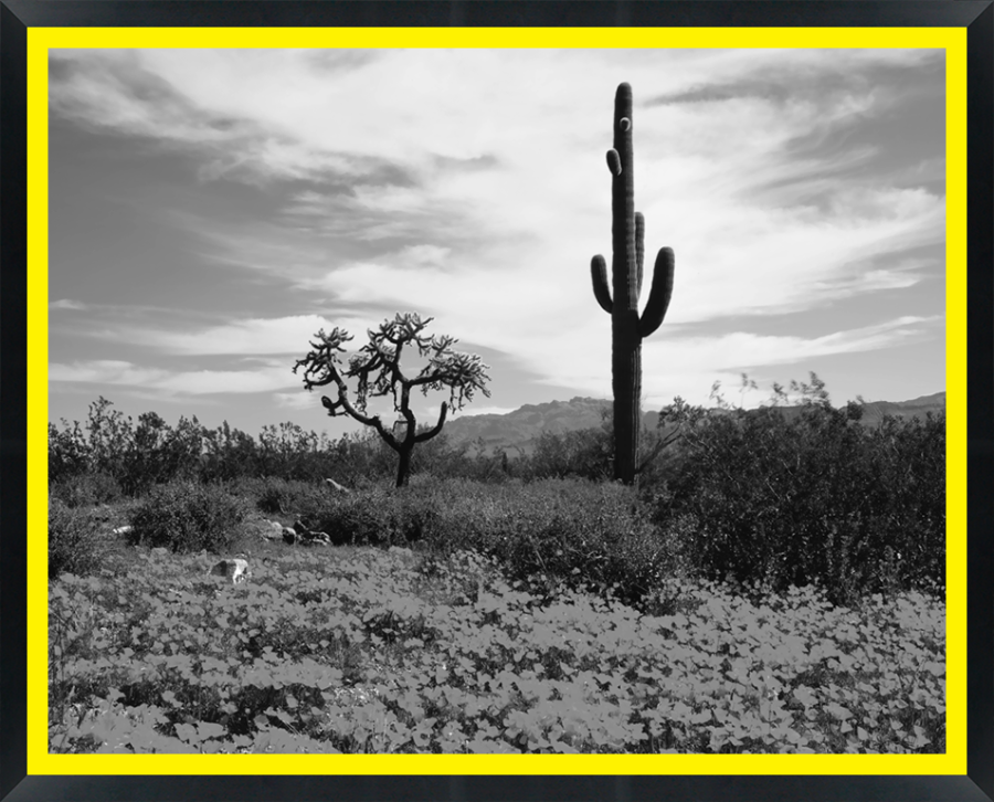 D30150 — Super 8 headboard artwork, Arizona