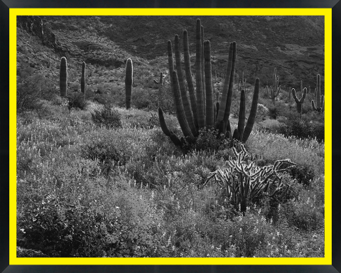 D30152 — Super 8 headboard artwork, Arizona