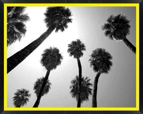 D29668 — Super 8 headboard artwork, California