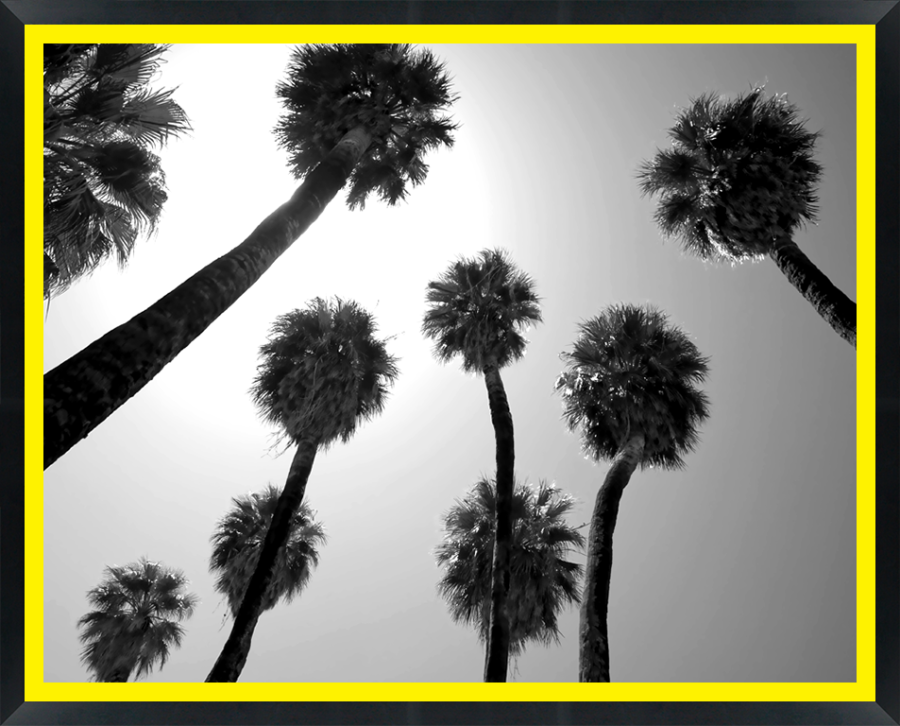 D29668 — Super 8 headboard artwork, California