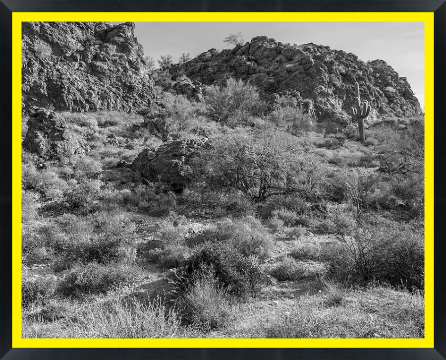 D30153 — Super 8 headboard artwork, Arizona