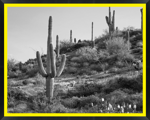 D30154 — Super 8 headboard artwork, Arizona
