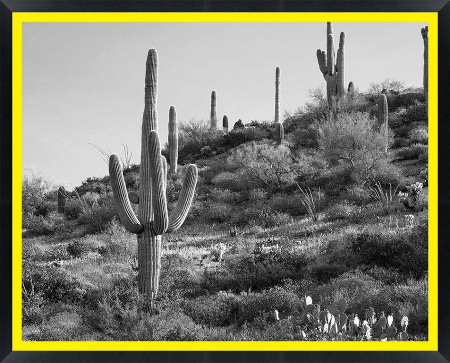 D30154 — Super 8 headboard artwork, Arizona