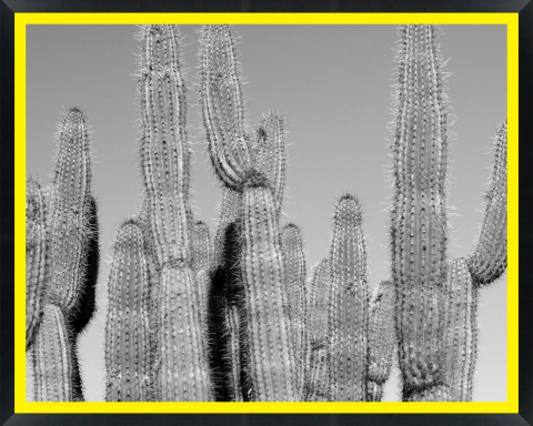 D30156 — Super 8 headboard artwork, Arizona