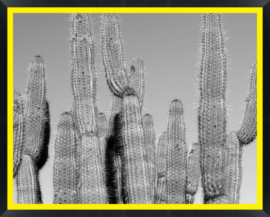 D30156 — Super 8 headboard artwork, Arizona