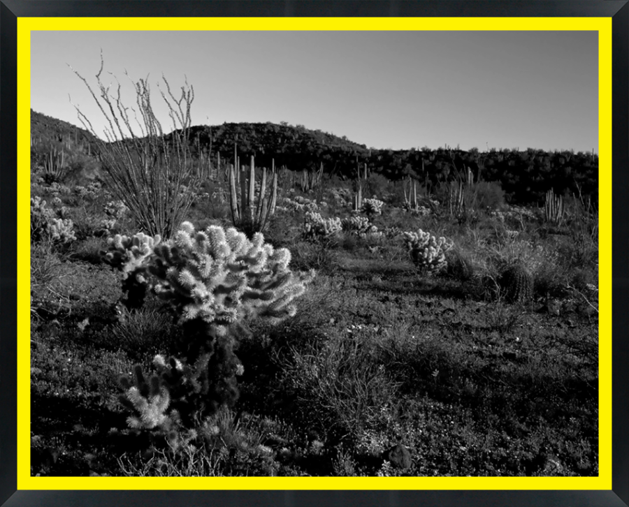 D30161 — Super 8 headboard artwork, Arizona