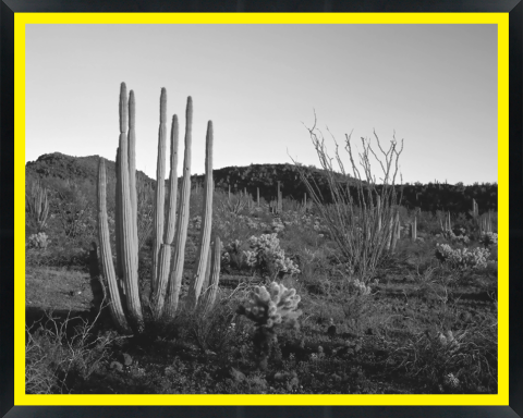 D30162 — Super 8 headboard artwork, Arizona