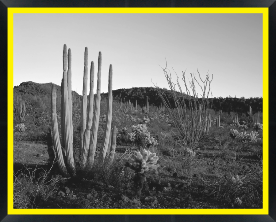 D30162 — Super 8 headboard artwork, Arizona