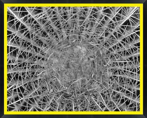 D30180 — Super 8 headboard artwork, Arizona