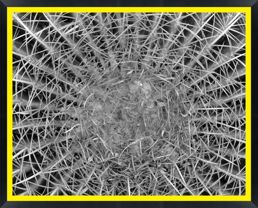 D30180 — Super 8 headboard artwork, Arizona