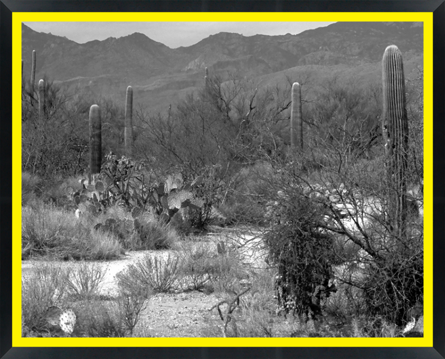 D30185 — Super 8 headboard artwork, Arizona