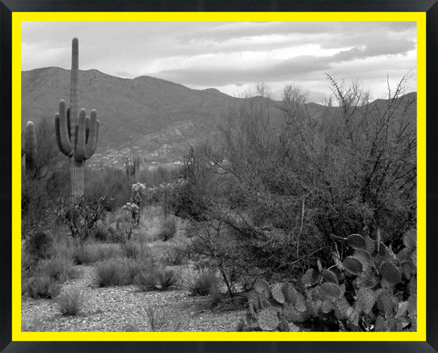D30186 — Super 8 headboard artwork, Arizona