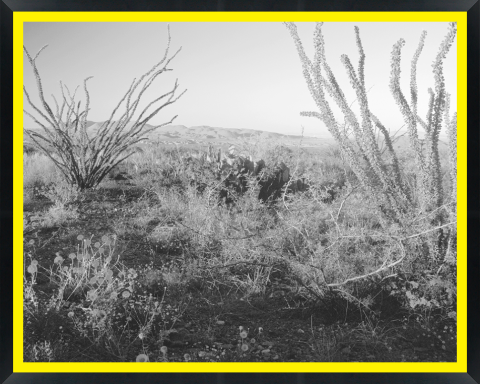D33377 — Super 8 headboard artwork, Texas