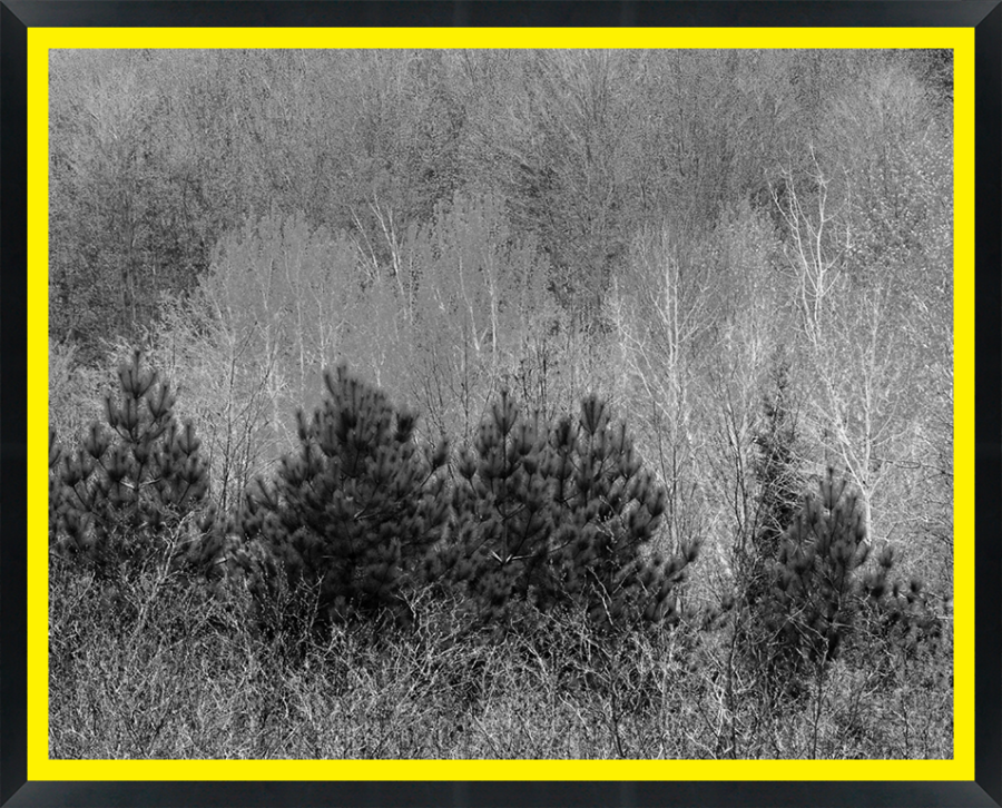 D33393 — Super 8 headboard artwork, Ontario