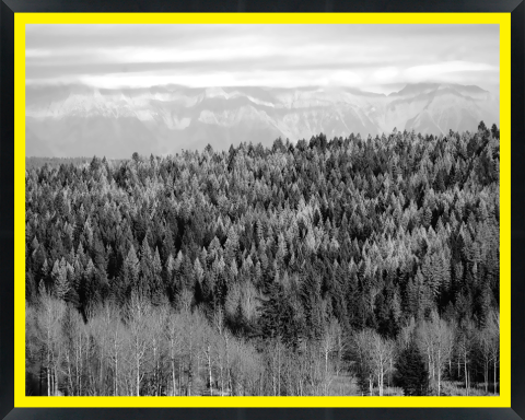 D34014 — Super 8 headboard artwork, British Columbia