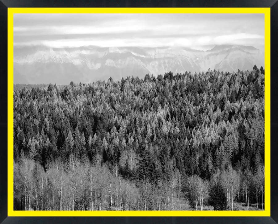 D34014 — Super 8 headboard artwork, British Columbia