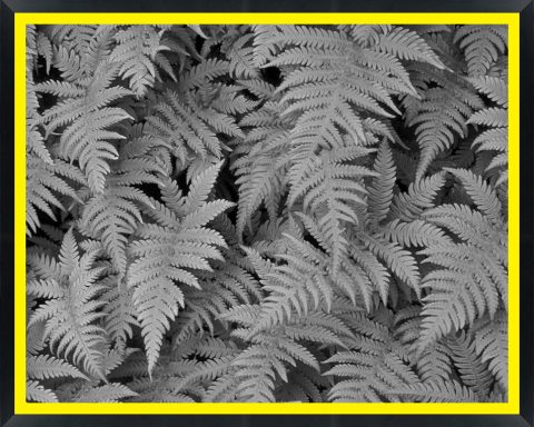 D03861 — Super 8 headboard artwork, New York