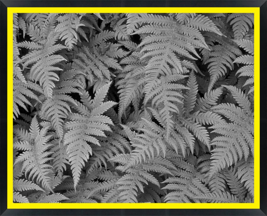 D03861 — Super 8 headboard artwork, New York
