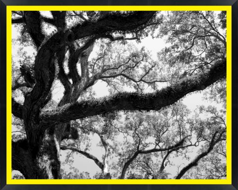 D46015 — Super 8 headboard artwork, Louisiana