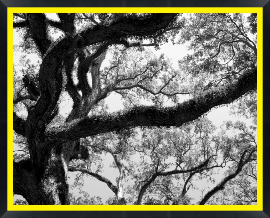 D46015 — Super 8 headboard artwork, Louisiana