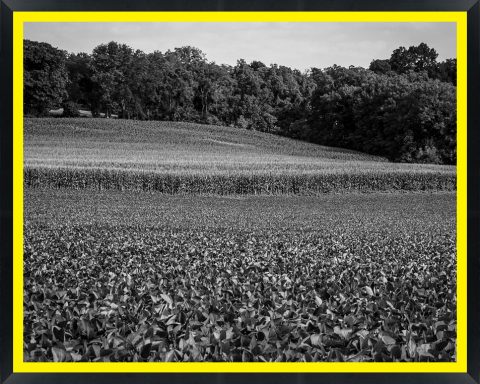 D57018 — Super 8 headboard artwork, New Jersey