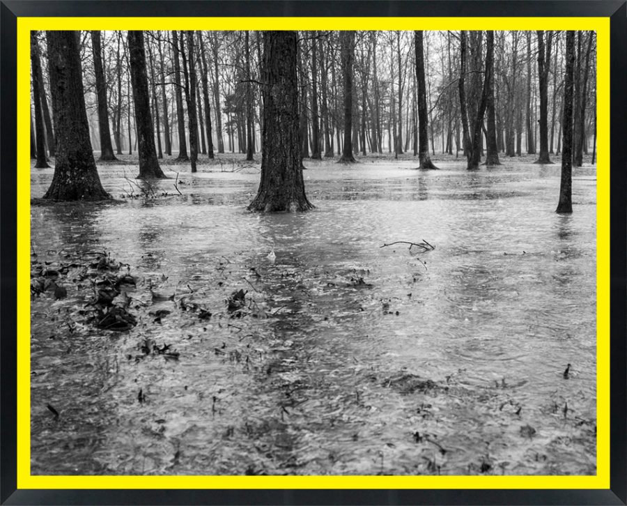 D57021 — Super 8 headboard artwork, New Jersey