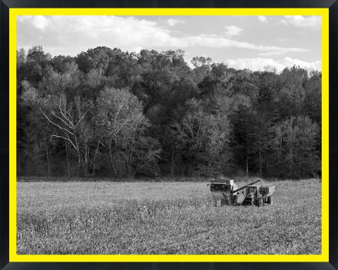 D56949 — Super 8 headboard artwork, Indiana