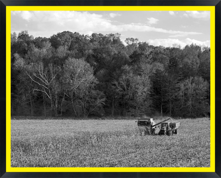 D56949 — Super 8 headboard artwork, Indiana