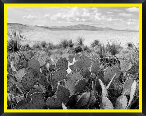 D10440 — Super 8 headboard artwork, Texas