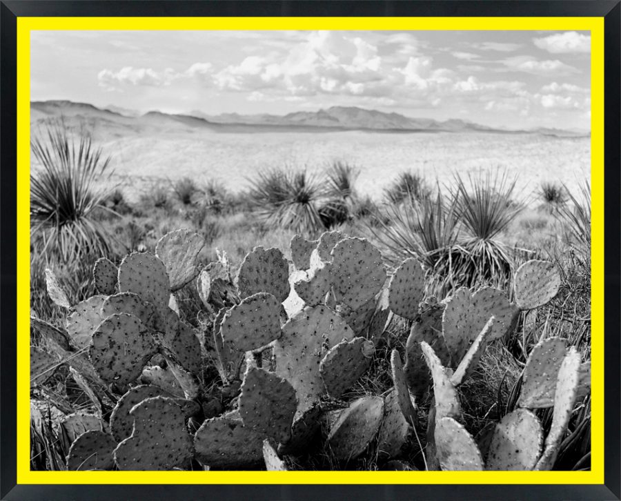 D10440 — Super 8 headboard artwork, Texas