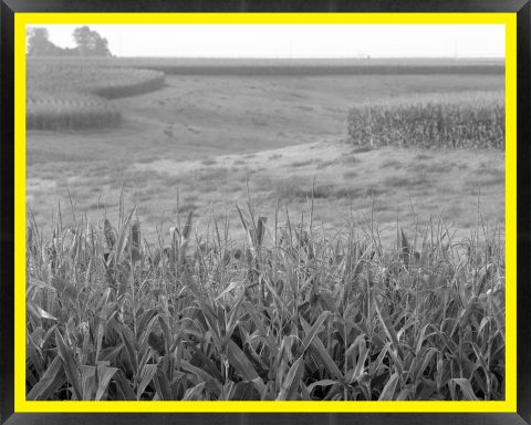 D52784 — Super 8 headboard artwork, Nebraska