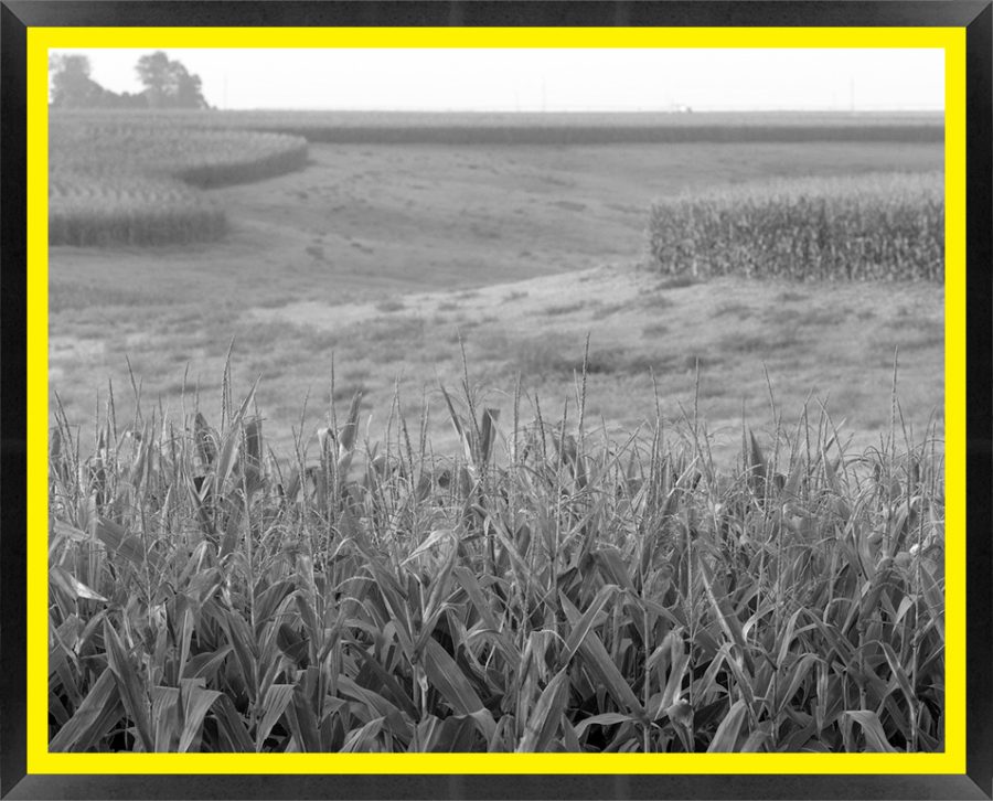 D52784 — Super 8 headboard artwork, Nebraska