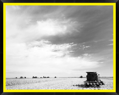 D57475 — Super 8 headboard artwork, Nebraska