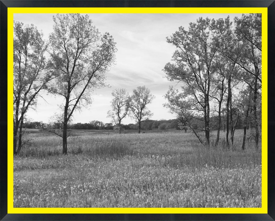 D57496 — Super 8 headboard artwork, Nebraska