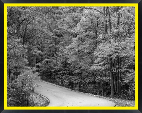 D45916 — Super 8 headboard artwork, Indiana