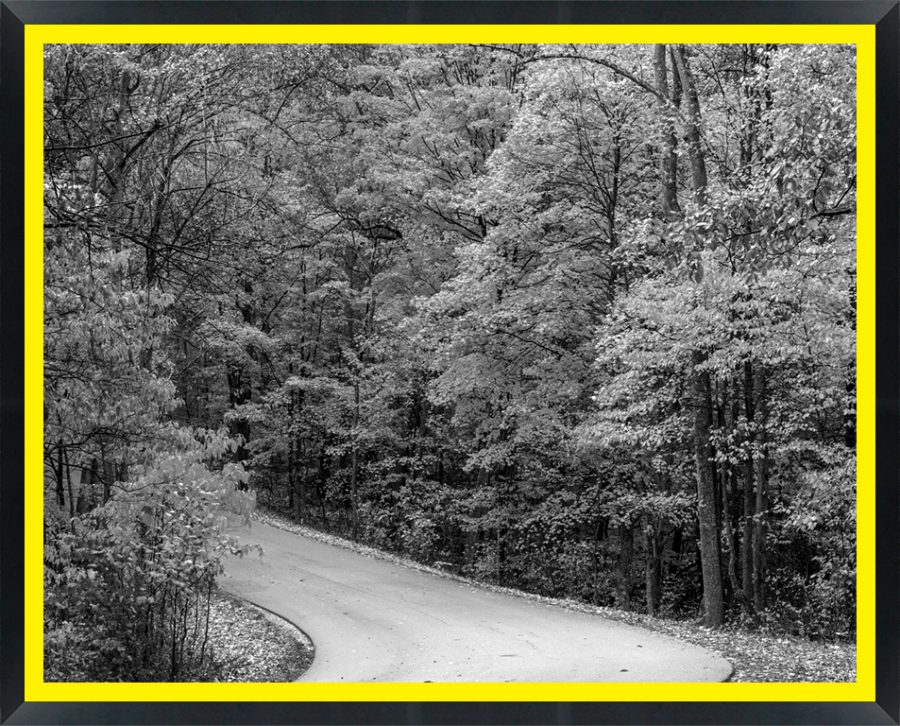 D45916 — Super 8 headboard artwork, Indiana