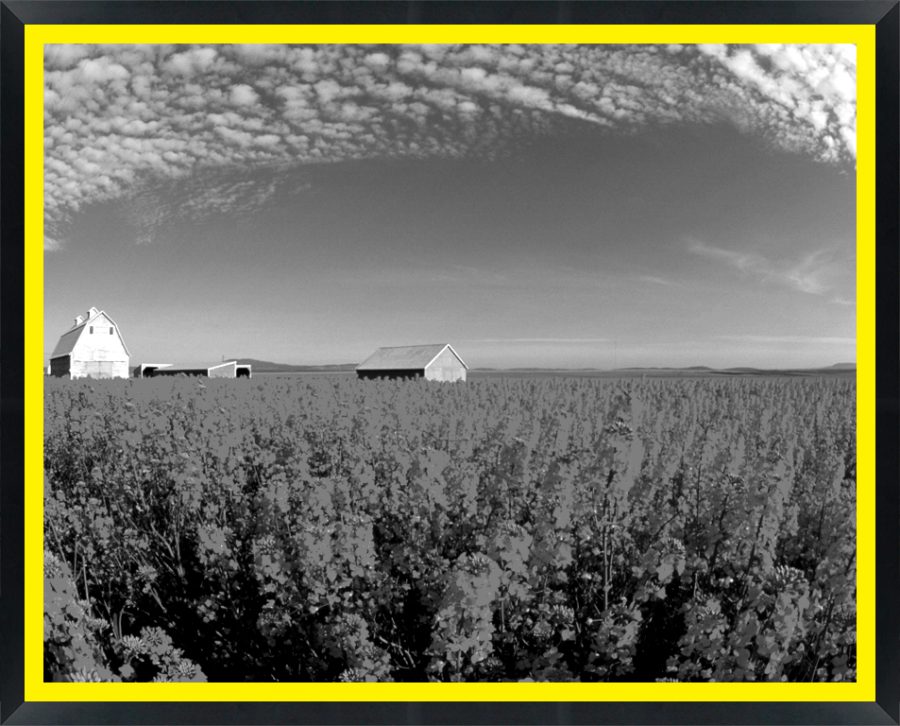 997377 — Super 8 headboard artwork, Idaho