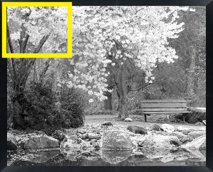 D47300 — Super 8 headboard artwork, Oregon