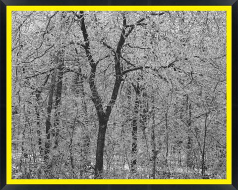 D02125 — Super 8 headboard artwork, Virginia