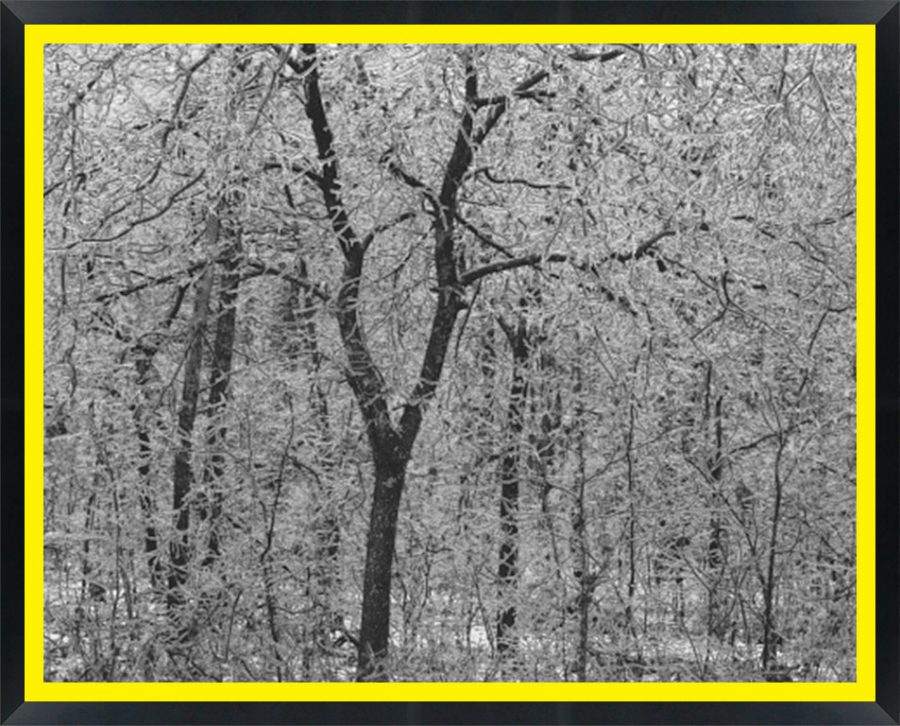 D02125 — Super 8 headboard artwork, Virginia