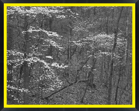 D02136 — Super 8 headboard artwork, Virginia