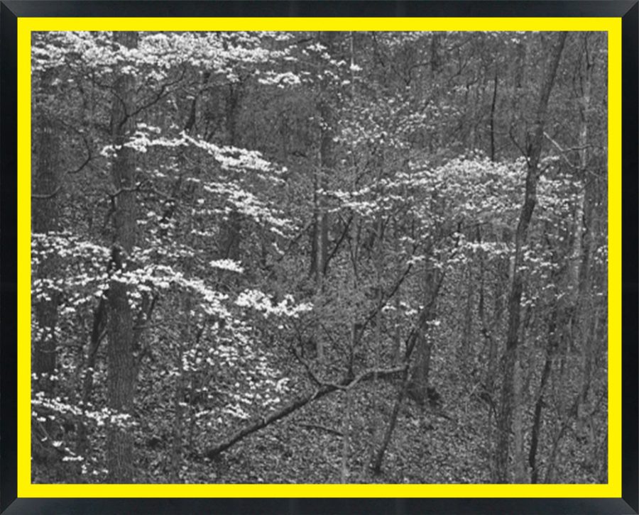 D02136 — Super 8 headboard artwork, Virginia