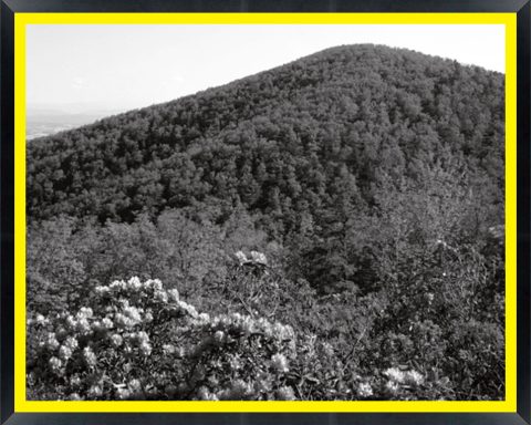 D11062 — Super 8 headboard artwork, Virginia