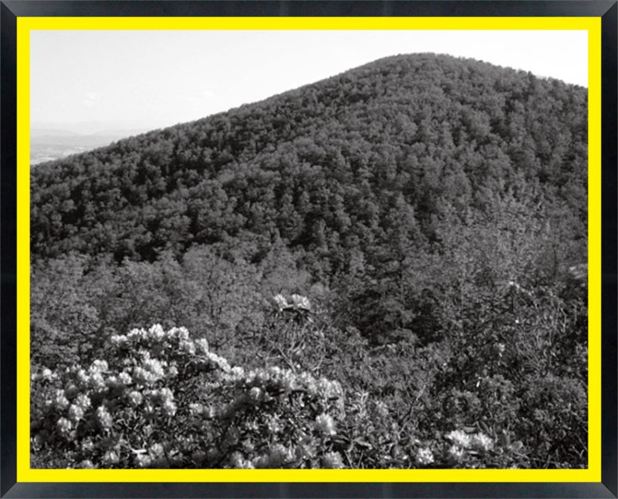 D11062 — Super 8 headboard artwork, Virginia