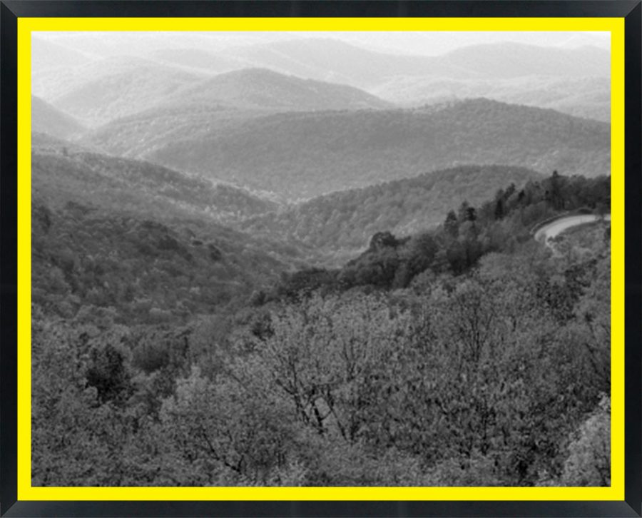 D53649 — Super 8 headboard artwork, North Carolina
